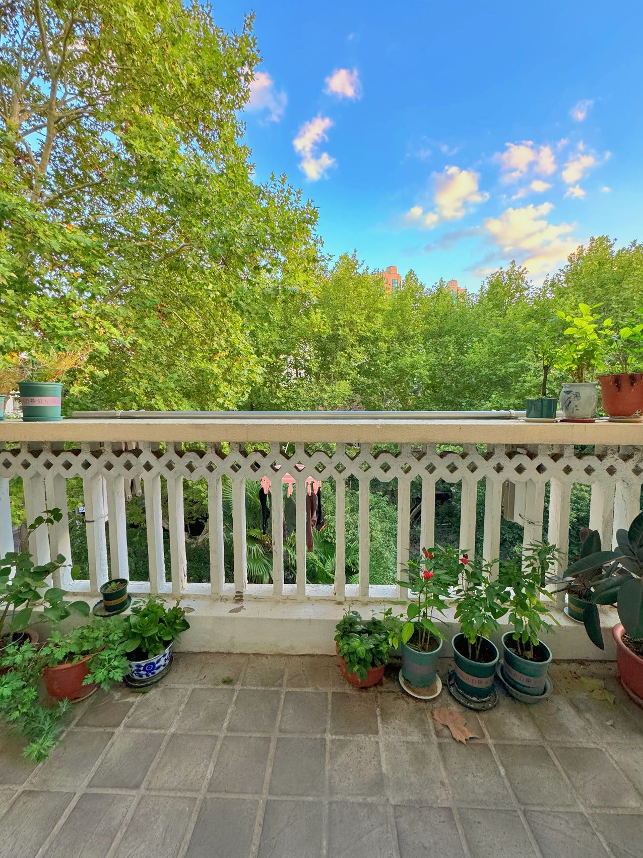 市委大院康平路100弄